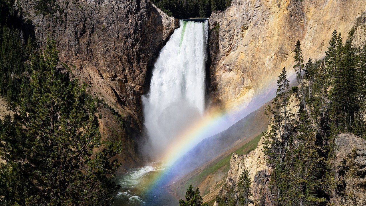 2025 Year In Review: Yellowstone National Park