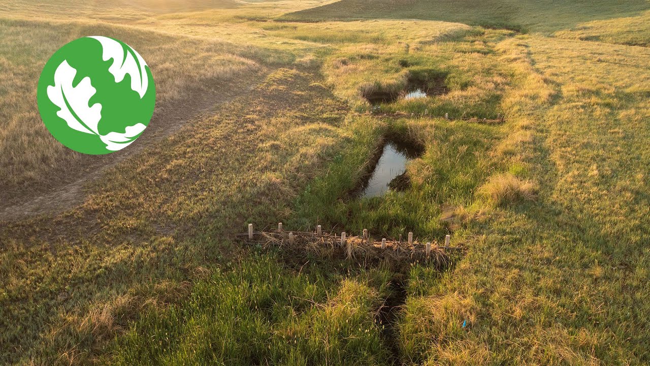 Bringing Beaver Back: Western South Dakota