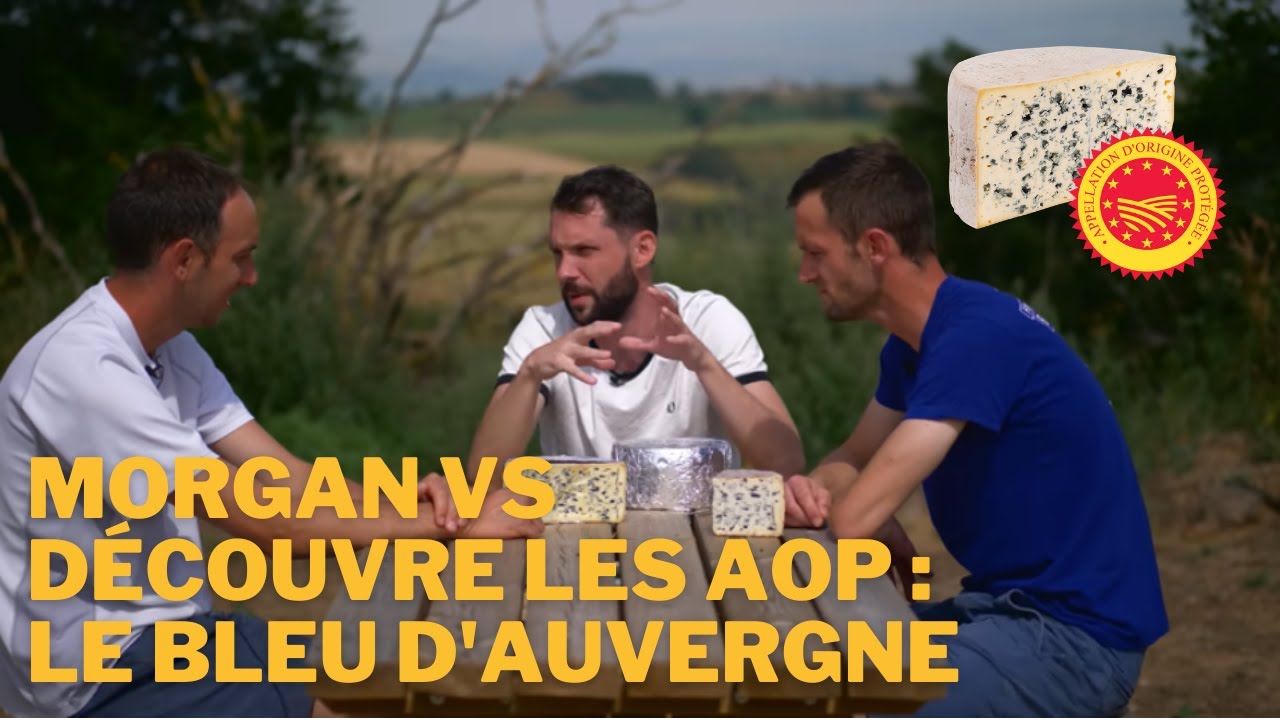 Morgan VS découvre les AOP : le Bleu d'Auvergne