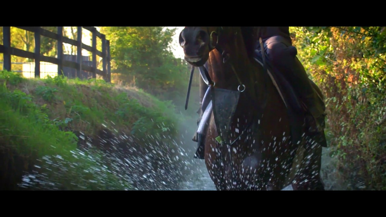 Gordon Elliott Racing Promo Video