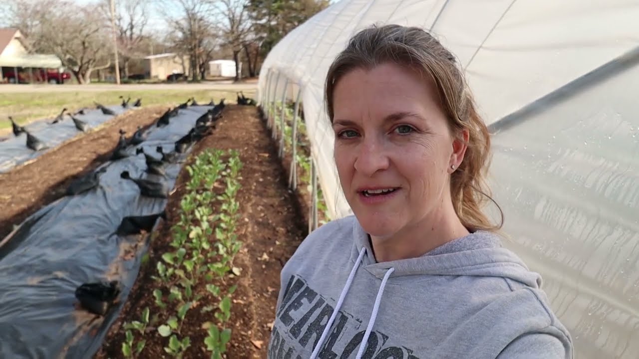 The most EPIC Onion Planting | FAIL like THIS | Heirloom Permaculture