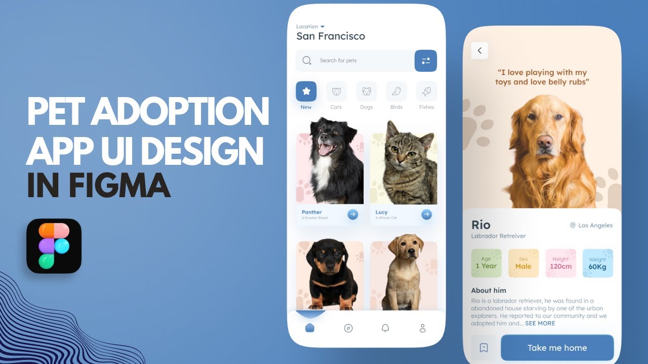 Pet Adoption App UI Design in Figma | Step by Step Tutorial
