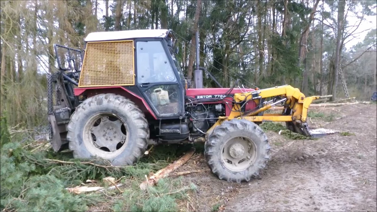 Forest job / Práce v lese - Zetor 7745 , Stihl 462 a Husqvarna 365  #112
