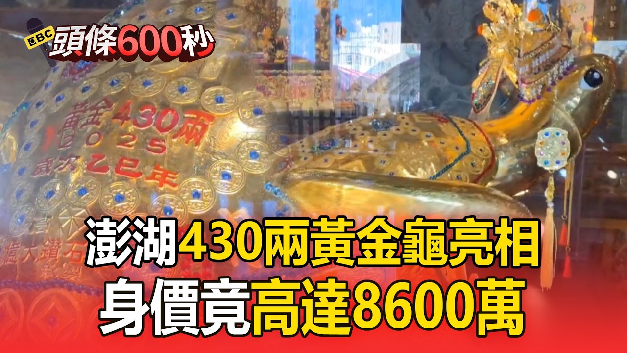 澎湖「430兩黃金龜」亮相！身價竟高達8600萬【頭條600秒】