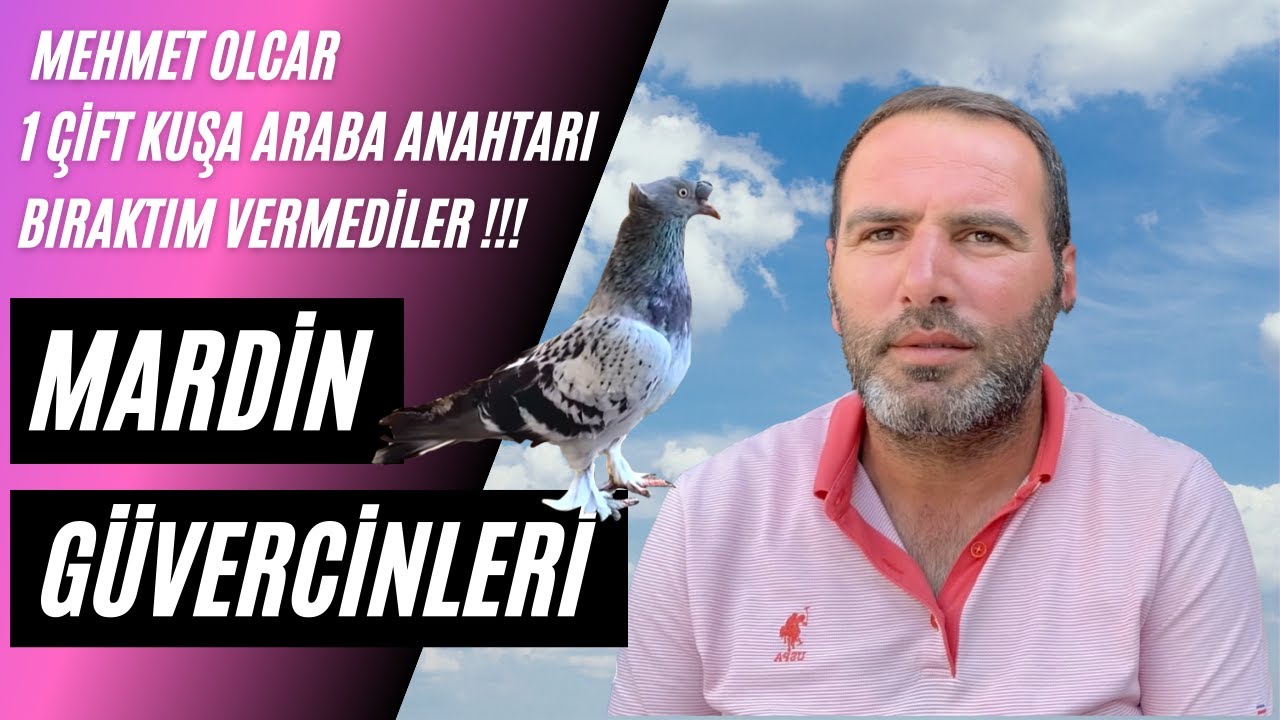 Taklacı Güvercin Sohbeti Mehmet Olcar III (Mardinli)