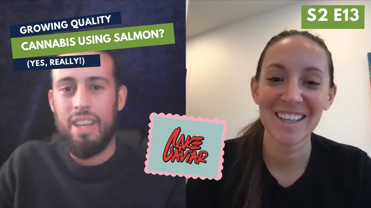 Cake & Caviar/Habitat - Cannabis Aquaponics Using Salmon (And More!) with CFO Kayla Mann - GC S2E13