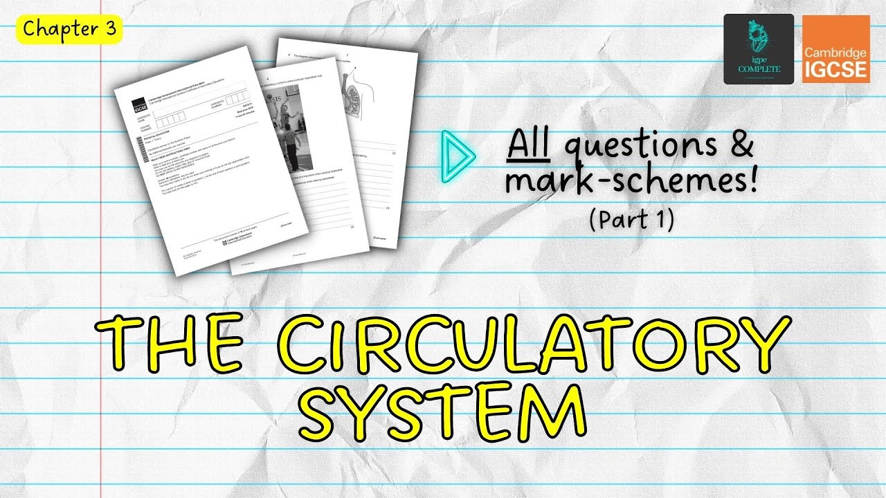 QUESTIONS, A* ANSWERS & MARK SCHEMES - Circulatory System (Ch 3) - IGCSE PE exam revision
