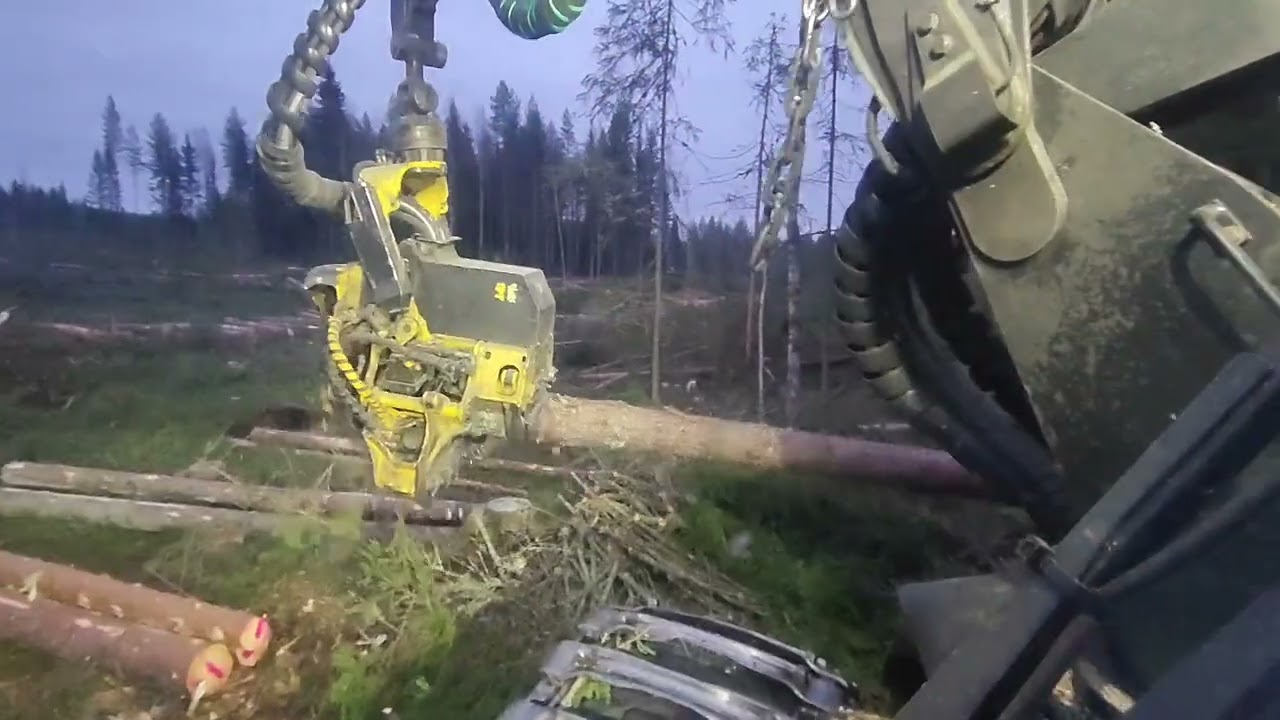 Avohakkuuta syksyisen harmaassa kelissä. Lopussa kamera kellahtaa ylös päin kuvaamaan. 😅