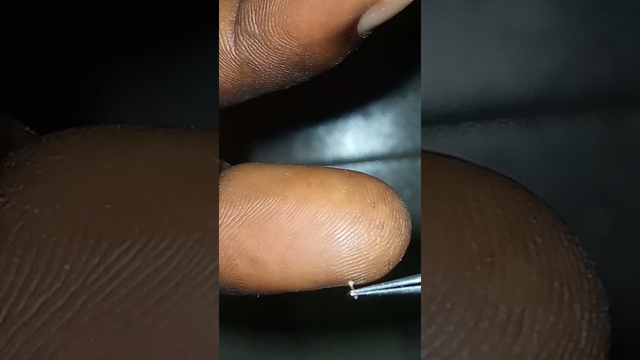 COCOA HAND POLLINATION