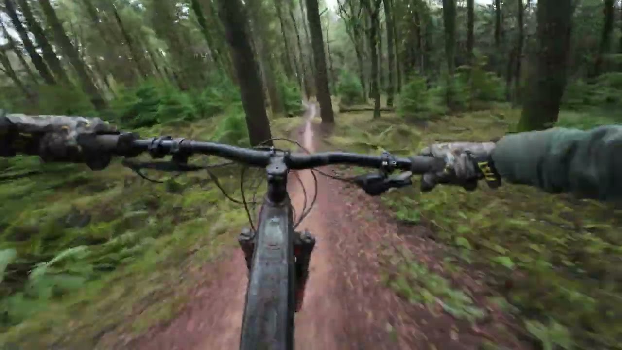 Forest of Dean - Countdown - February 2026