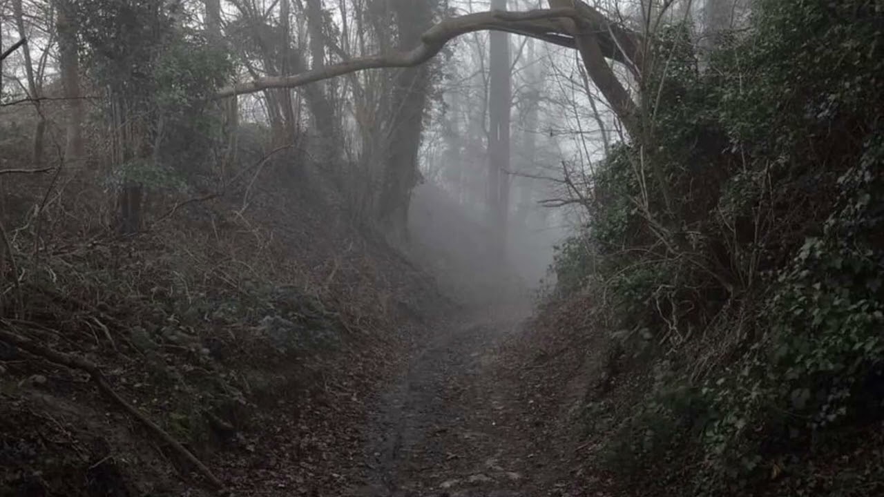 Crystal Castles - Plague (sped up + reverb)