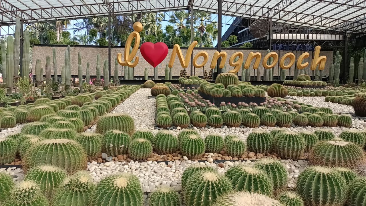 Family vacation in Bangkok Thailand visiting nongnooch tropical garden in Pattaya 