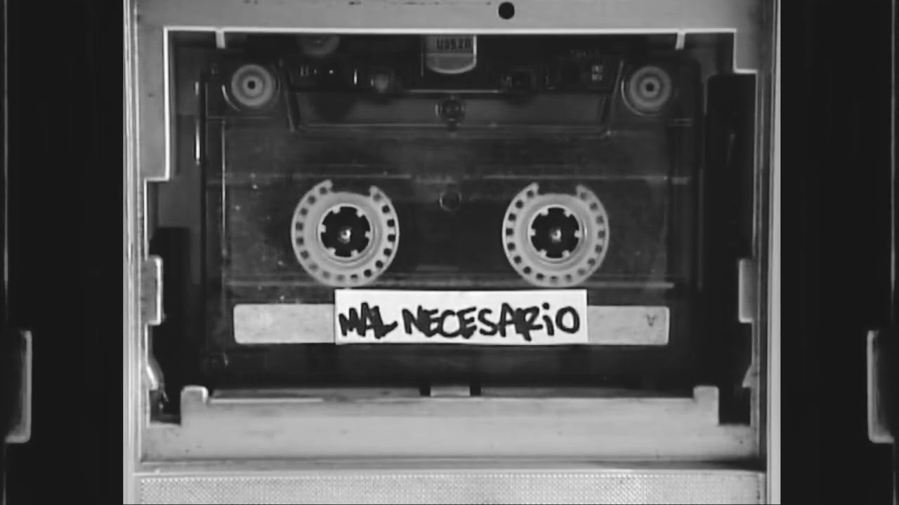 9. Geassassin, Bizor - Mal Necesario (Visualizer)