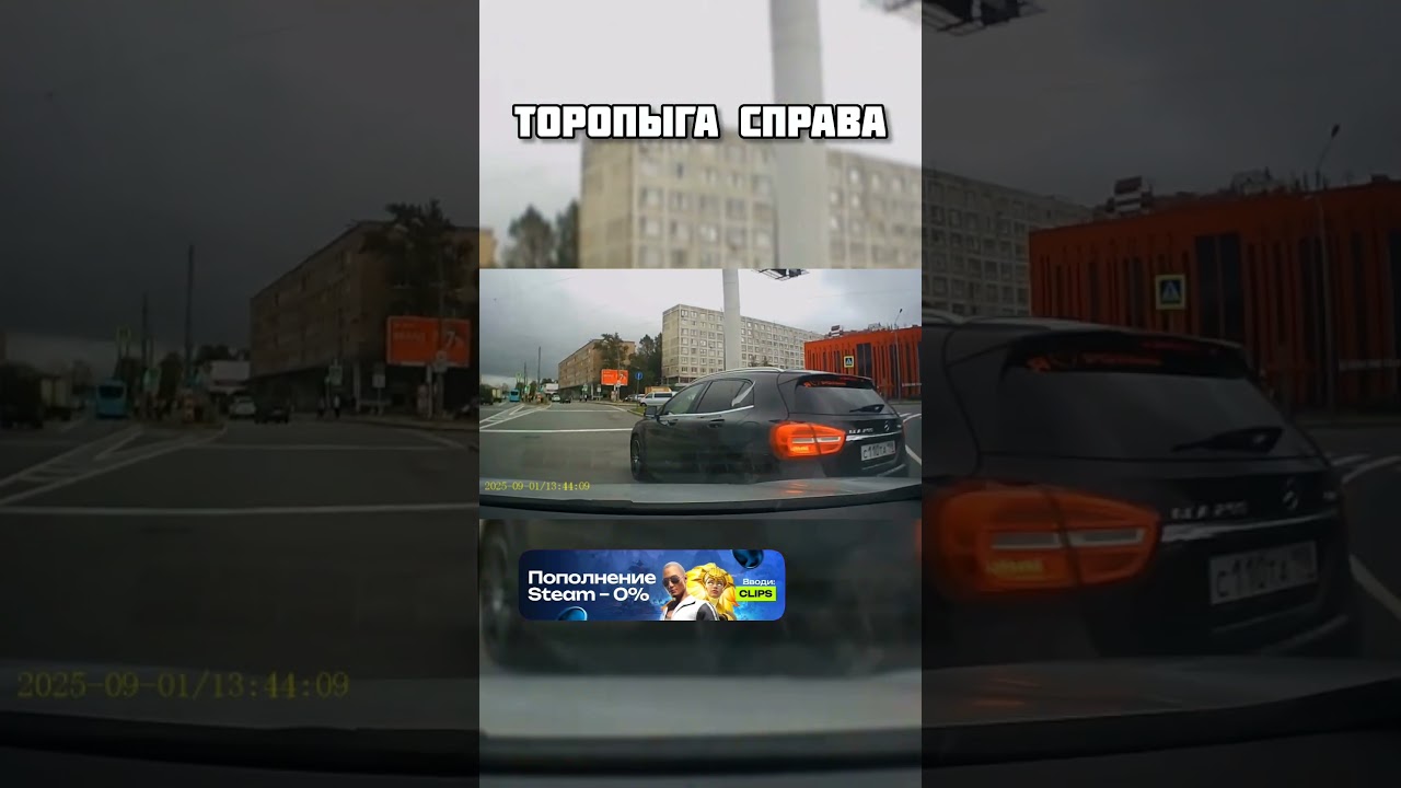 Торопыга по правой стороне