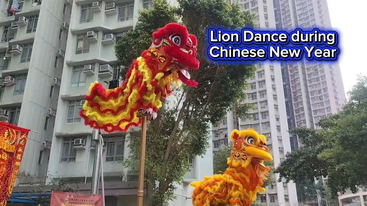 LION Dance during Chinese New year 2026