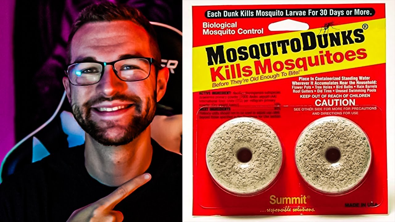 Do these Mosquito Dunks Actually Work??