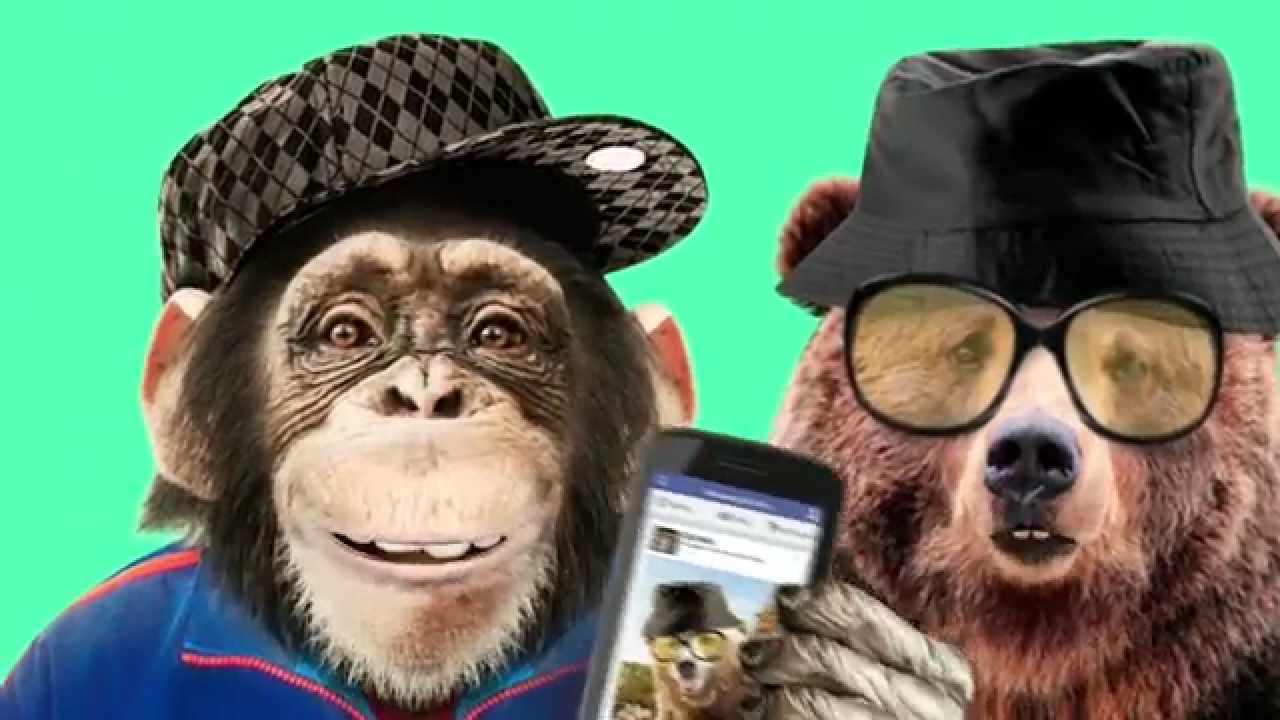 JIM Mobile No Stress