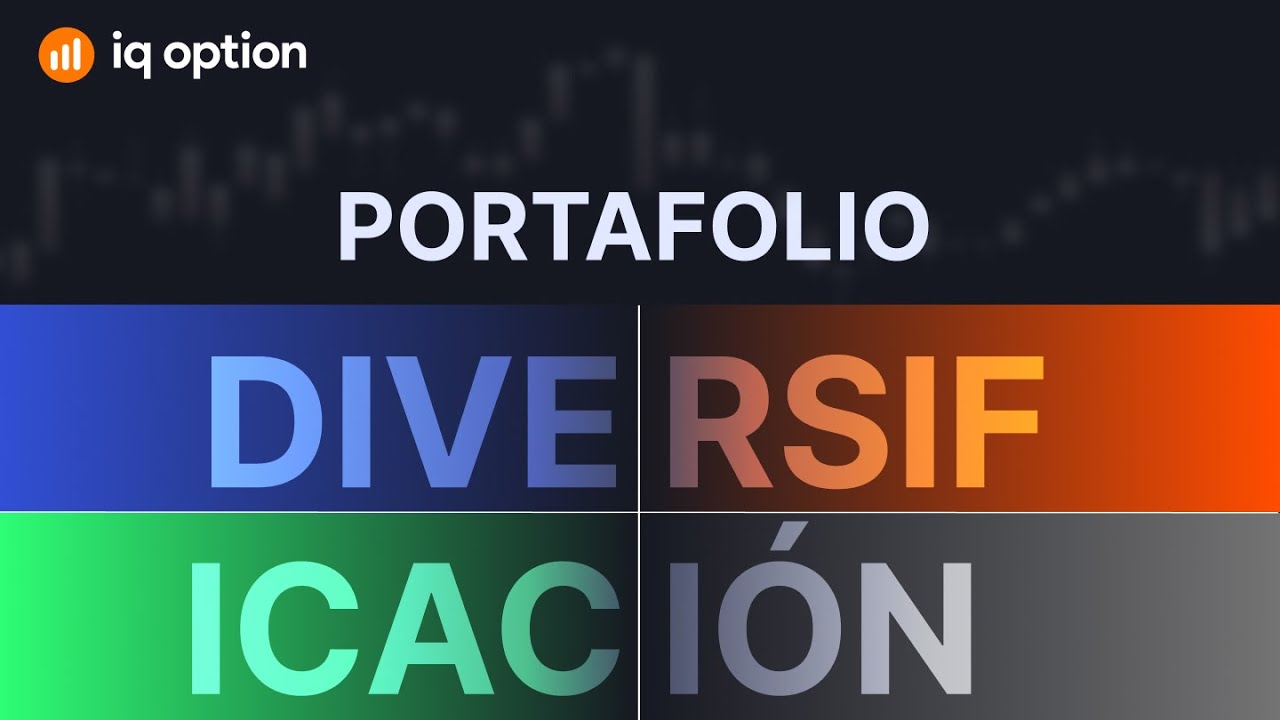 &iquest;Qu&eacute; es la diversificaci&oacute;n del portafolio?