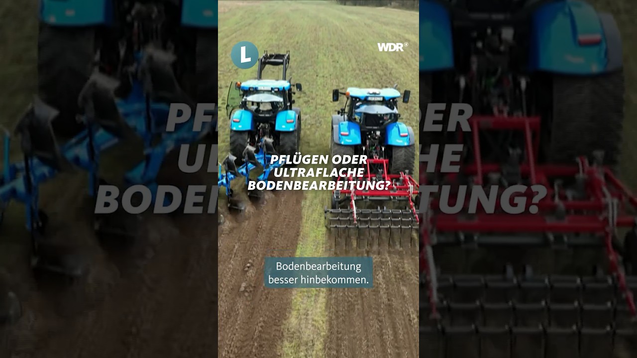 Flacher Grubber vs. Pflug - was ist das Beste für den Boden?