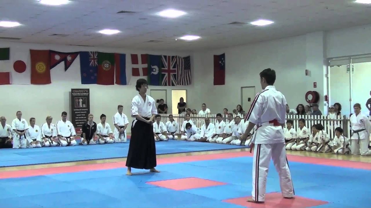 Shihan Masamitsu Kudaka Demonstration 2015 Koshiki World Cup