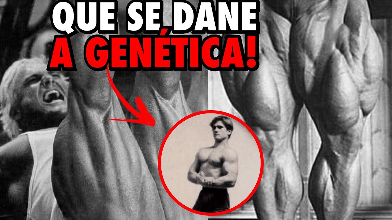 TOM PLATZ - VOC&Ecirc; TEM QUE SER INSANO [LEGENDADO]