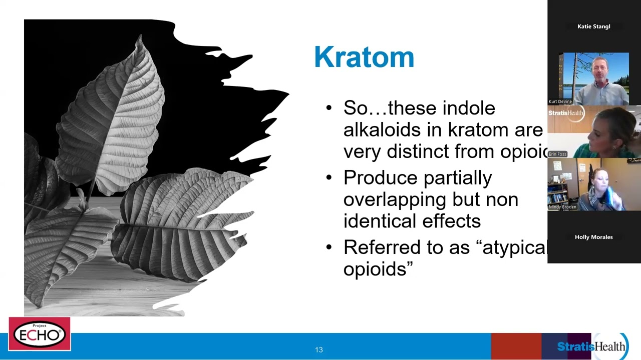 SOAR OUD ECHO Oct. 22, 2025 - Kratom: A Review and Update with 7HMG Focus
