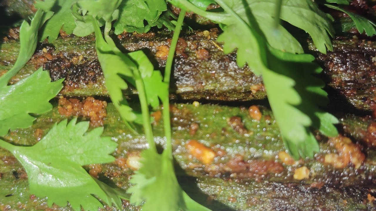 Helthy and tasty Bendi fry # home food#helthy#tasty#soft bendi