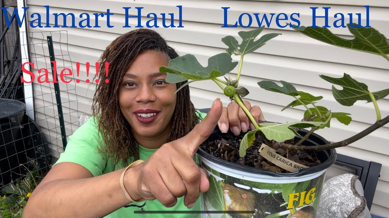 Come Shop With Me Walmart And Lowes Haul Garden Clearance Sale Plants Beautee In the Garden