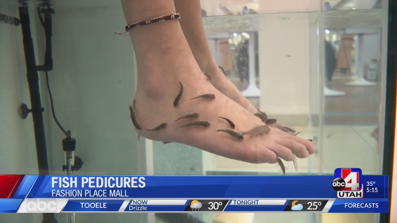 Fish Pedicures