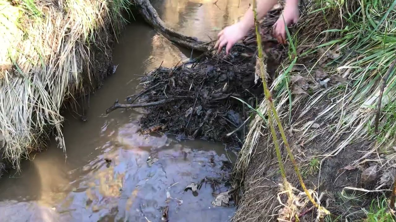 Unclogging Stream
