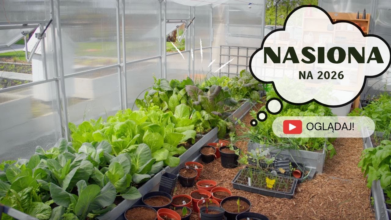 Nasiona na sezon 2026