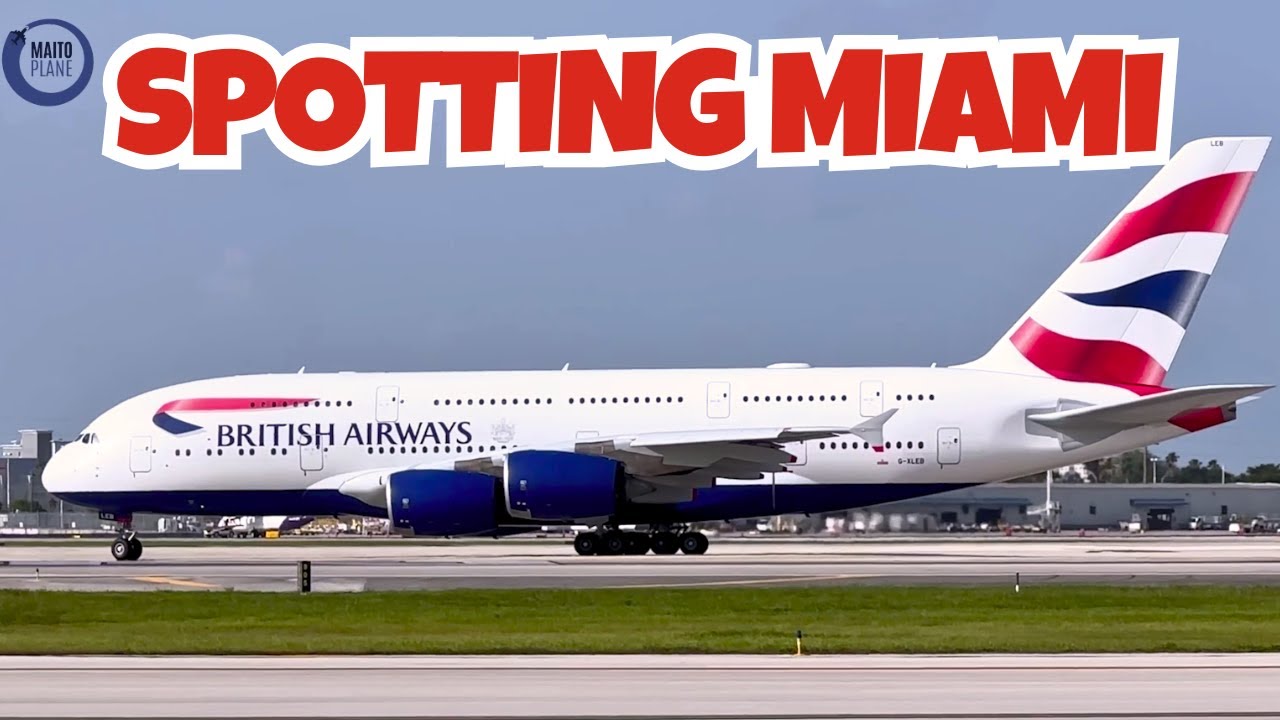 SPOTTING MIAMI | VIDEOS INÉDITOS | DATOS INTERESANTES