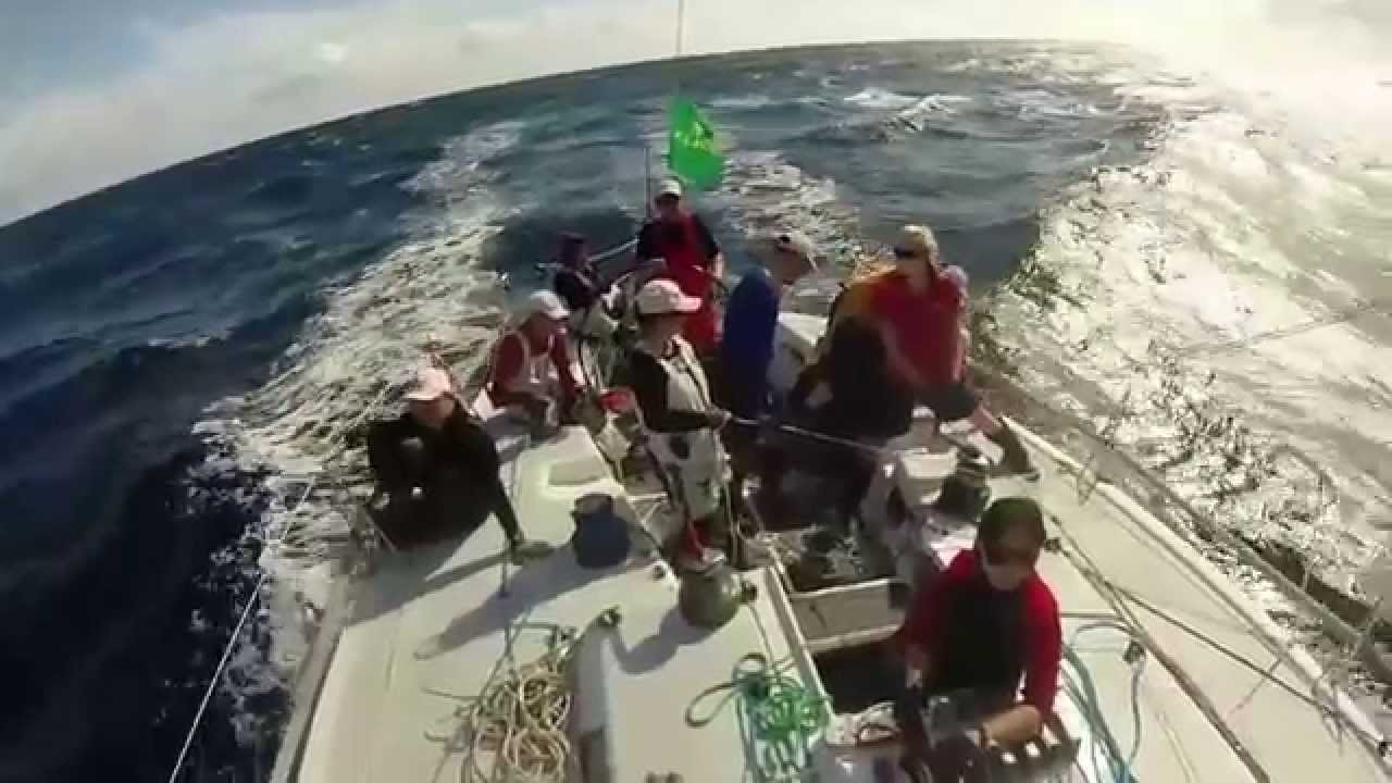 Wild Rose 70th Sydney to Hobart - A Crew's Adventure