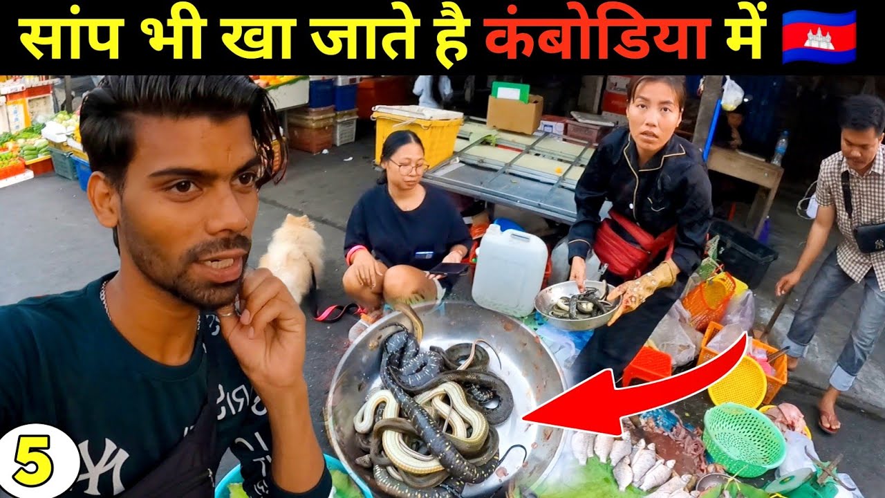 PHNOM PEHN CITY CAMBODIA | COMBODIA LOCAL MARKET | CAMBODIA TRAVEL VLOG