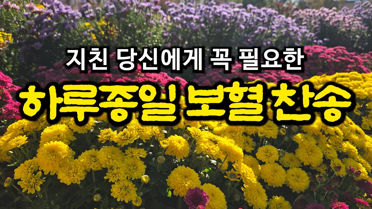 [보혈찬송모음] 죄에서 자유를 얻게함은 | 고백과 기도음악 | 기도와 명상 | 눈물로 기도하며 불렀던 그날의 찬양 | 새벽기도용 2시간 연속재생 | 중간광고없음 | Hymn