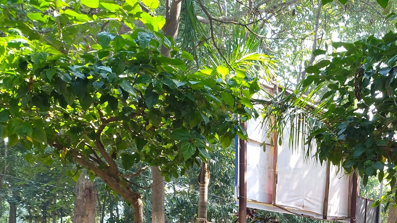 Meena Vlogs 12 is live सभी यूट्यूब फैमिली को राधे राधेगुड मॉर्निंग