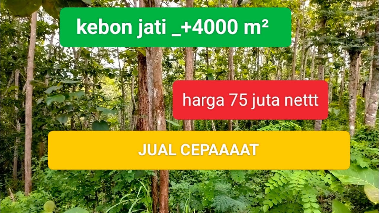 !!TeeerJuuuuualxxxKEBON jATI 4000m² 75 JUTA@YbProperty-v4x 