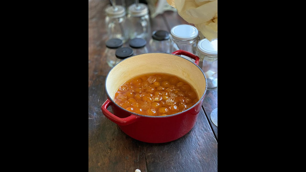 Quinotos en conserva