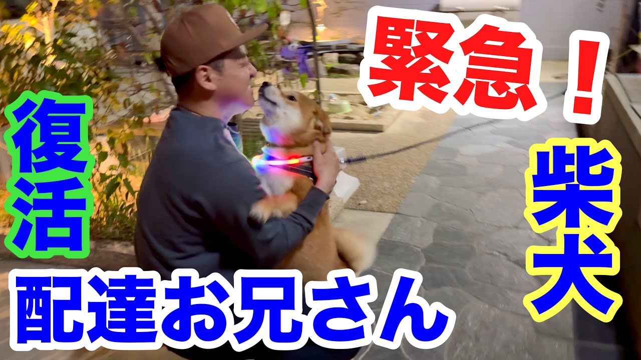 【緊急！】あのお兄さんが配達に帰って来た！