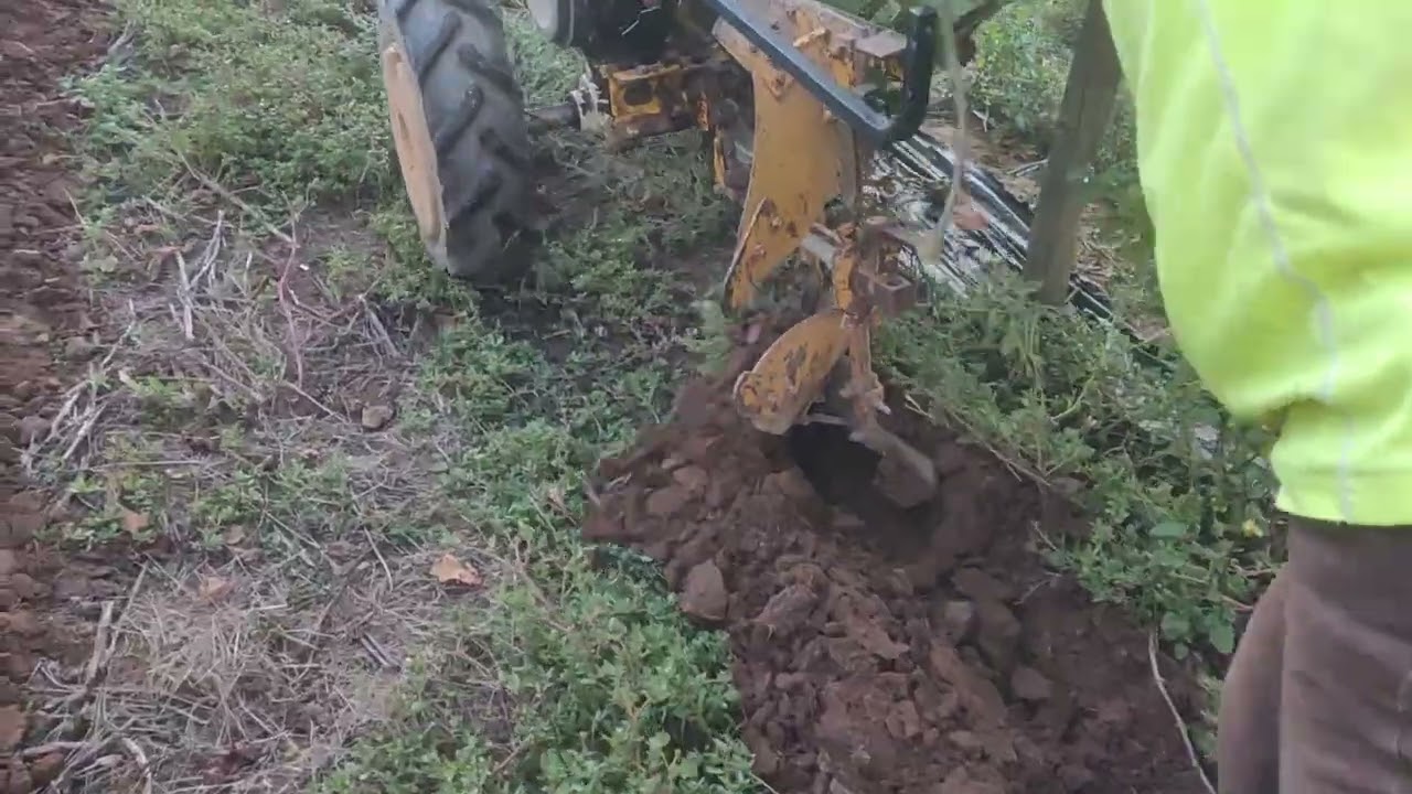 Labourage vigne motoculteur lombardini