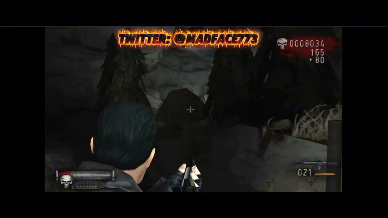 THE PUNISHER 💀 FOR THE PS2 ZOO LEVEL 🐼