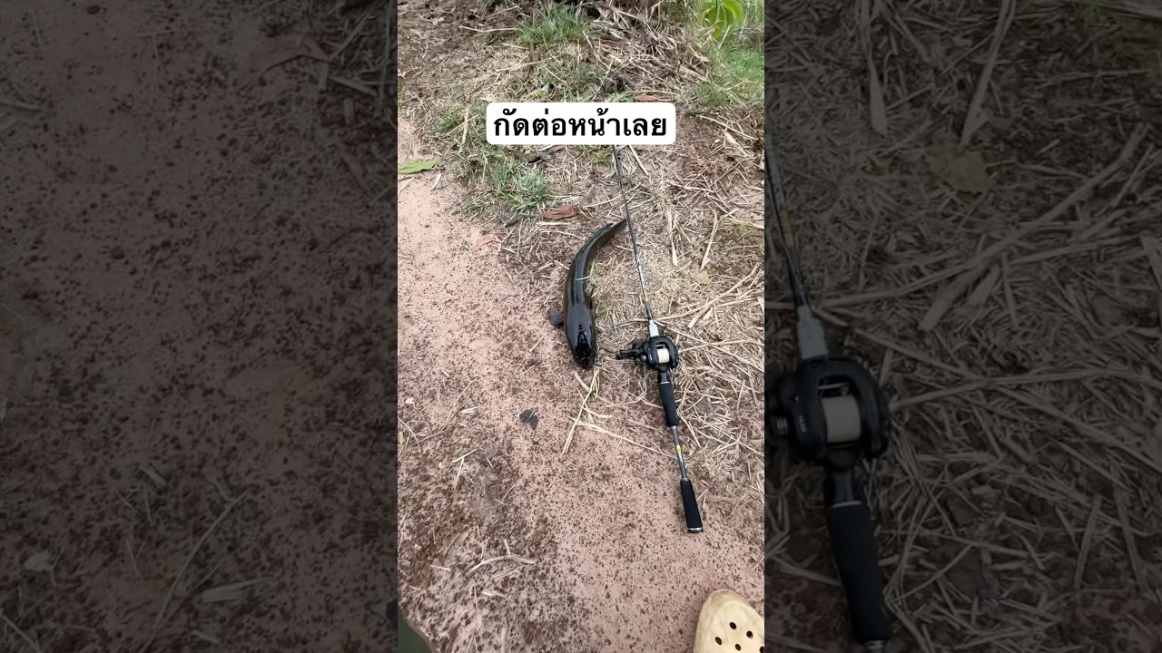 4 พฤษภาคม 2568