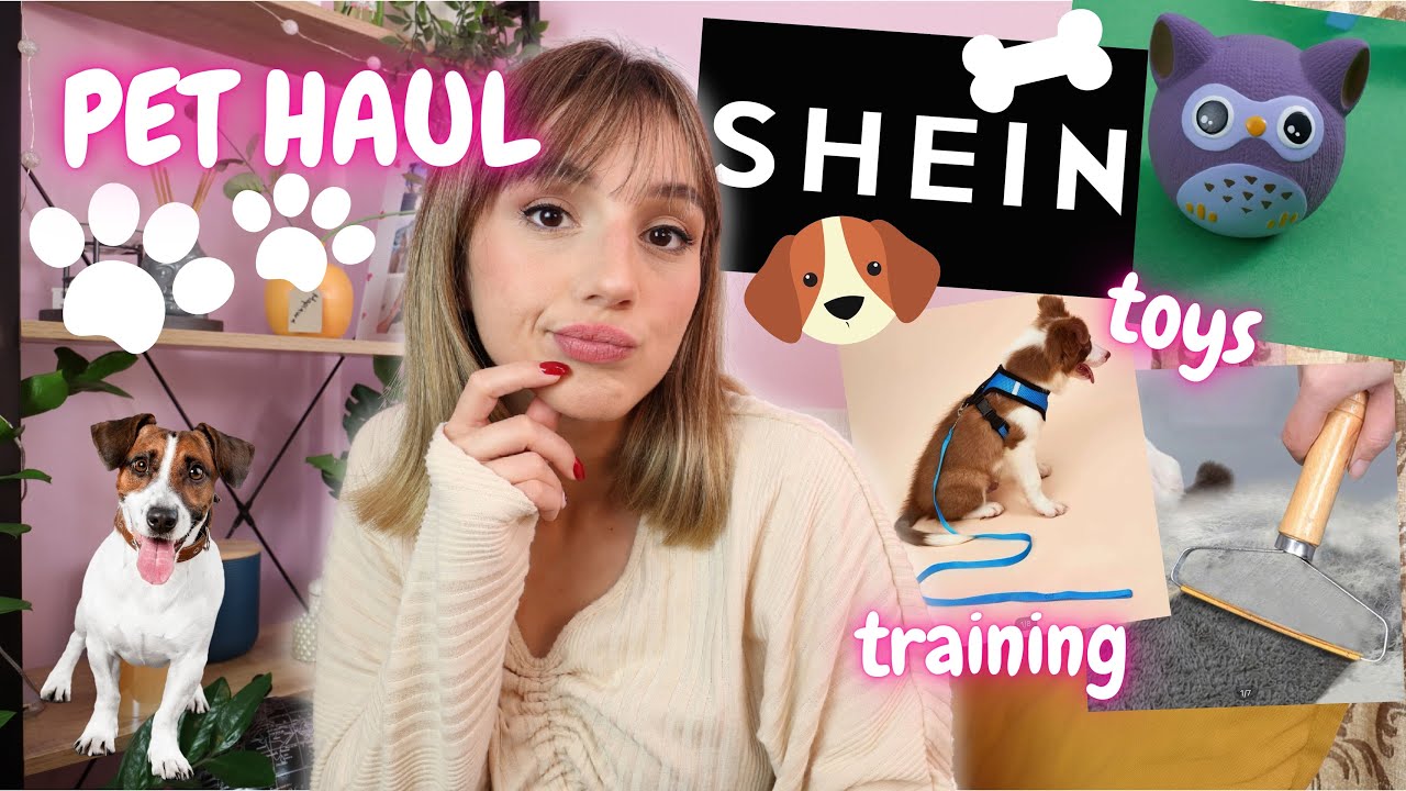 Shein Dog Haul | Marianna Grfld