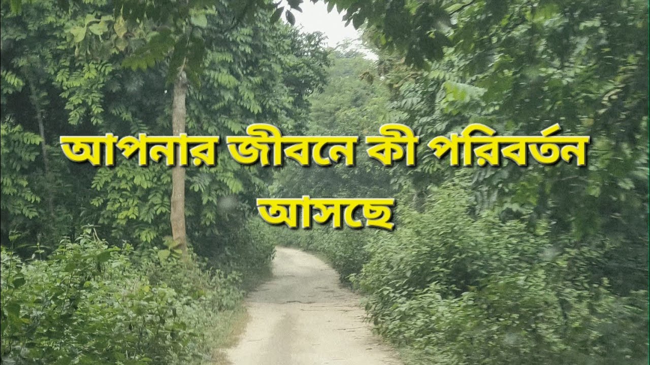 গ্রহণের সময় কী পরিবর্তন নিয়ে আসছে জীবনে?#banglatarot #eclipseenergy #whatiscomingnext  #nearfuture