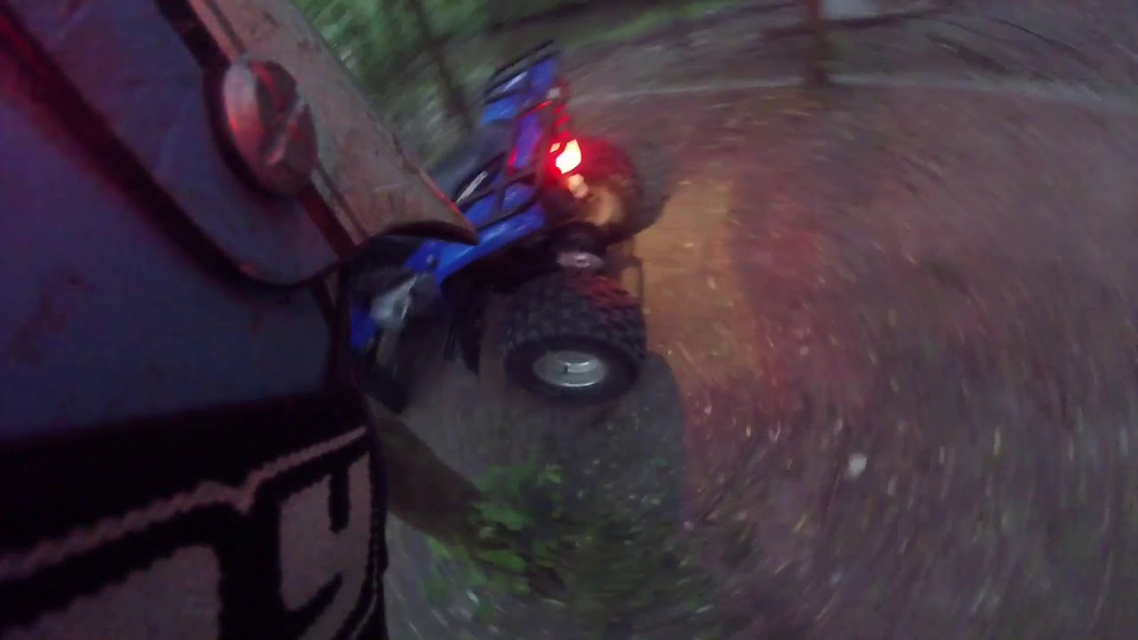 Kymco kxr 250