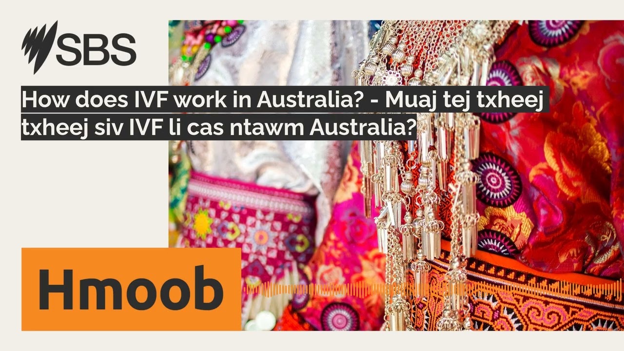 How does IVF work in Australia? - Muaj tej txheej txheej siv IVF li cas ntawm Australia? | SBS...