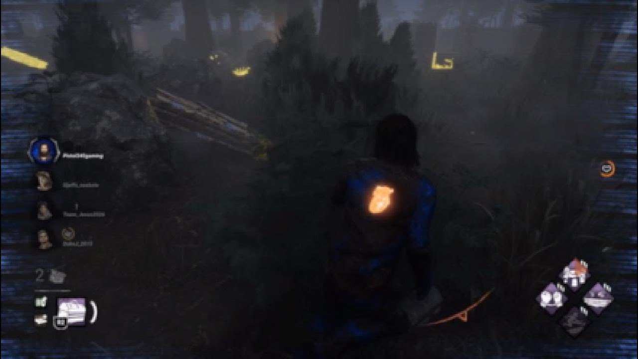 My longest chase ever!