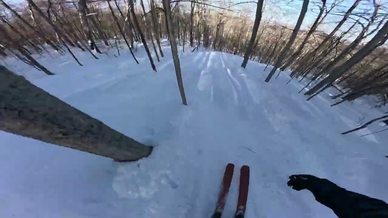 BEST GLADE SKIING IN NEW YORK!!