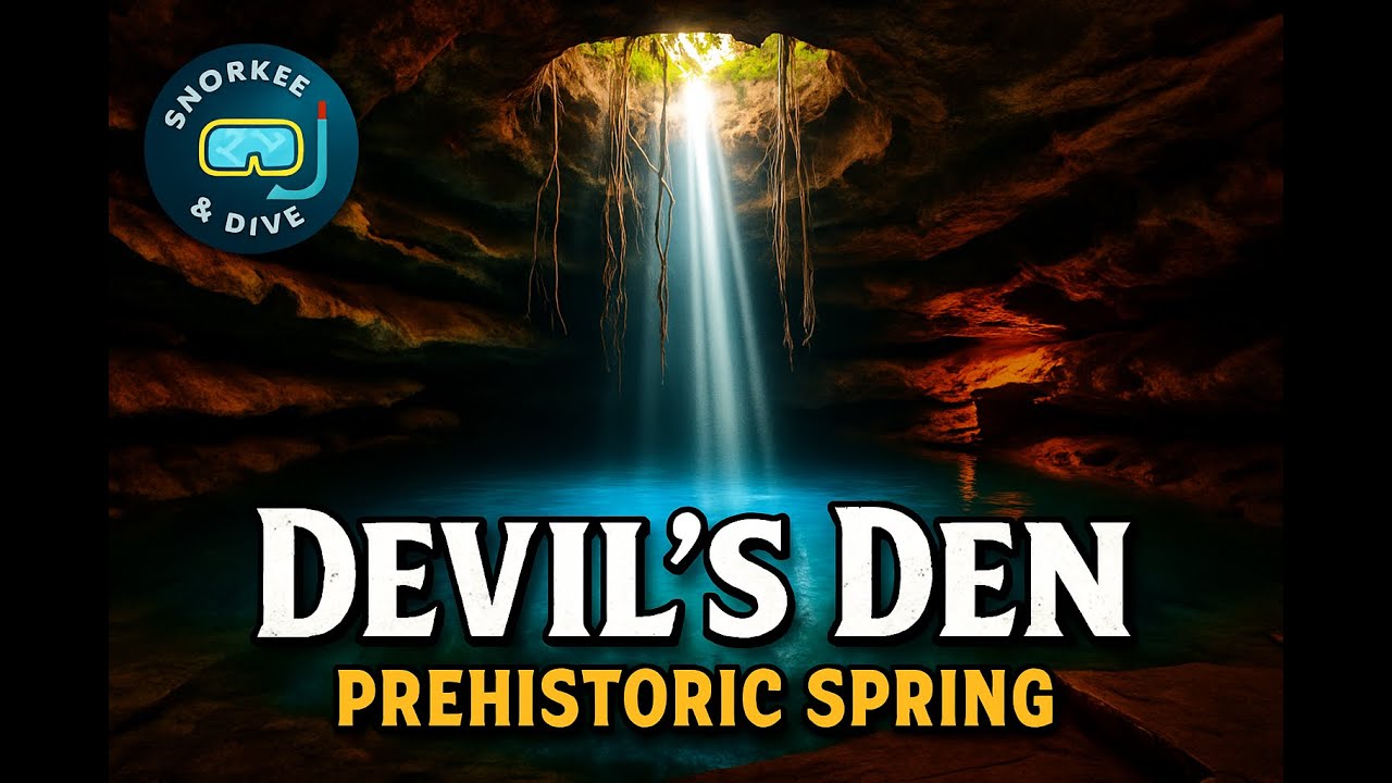 Exploring Devil&rsquo;s Den Prehistoric Spring in Williston, Florida | Snorkeling & Diving Adventure