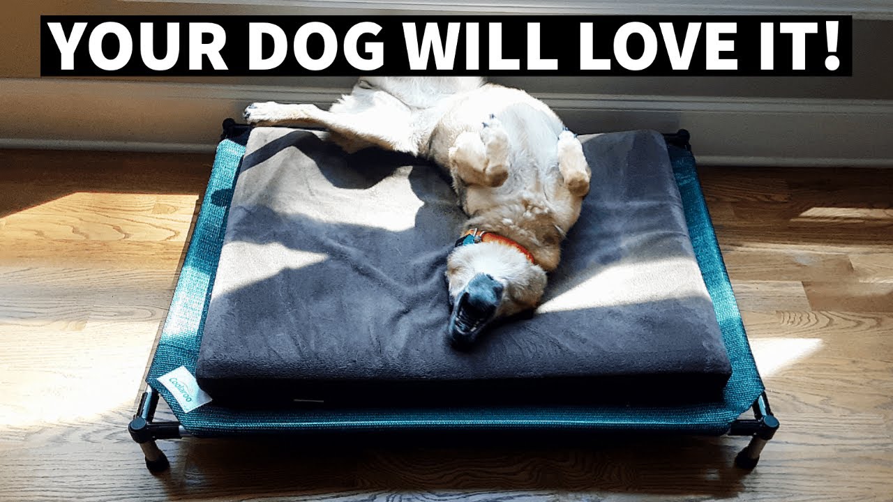 How To Build A DIY Elevated Dog Bed | MPM - 085